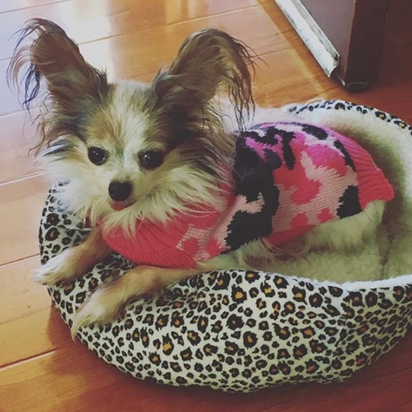 🐾🐾🩵🌊3/23 SHARE GROUP 🌊🩵🐾 - Picture 12 of 17